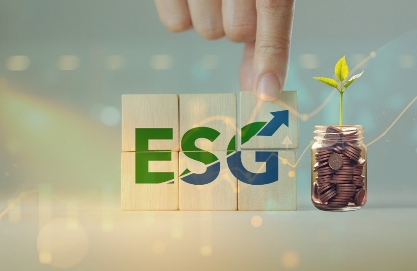 Báo cáo Tích hợp ESG (Integrated Reporting): Từ gánh nặng tuân thủ pháp lý thành công cụ định giá và hút vốn ngoại cho doanh nghiệp niêm yết